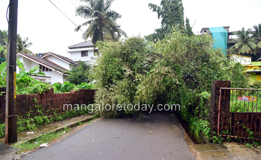 Heavy rains-